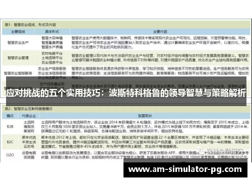 应对挑战的五个实用技巧：波斯特科格鲁的领导智慧与策略解析